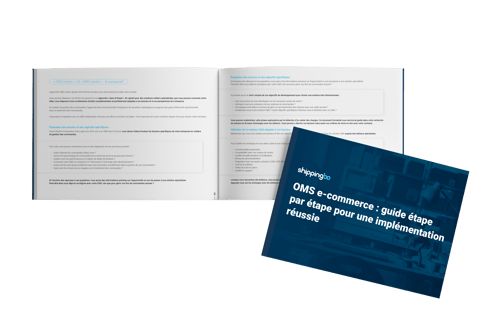 OMS e-commerce : guide étape par étape pour une implémentation réussie OMS e-commerce : guide étape par étape pour une implémentation réussie