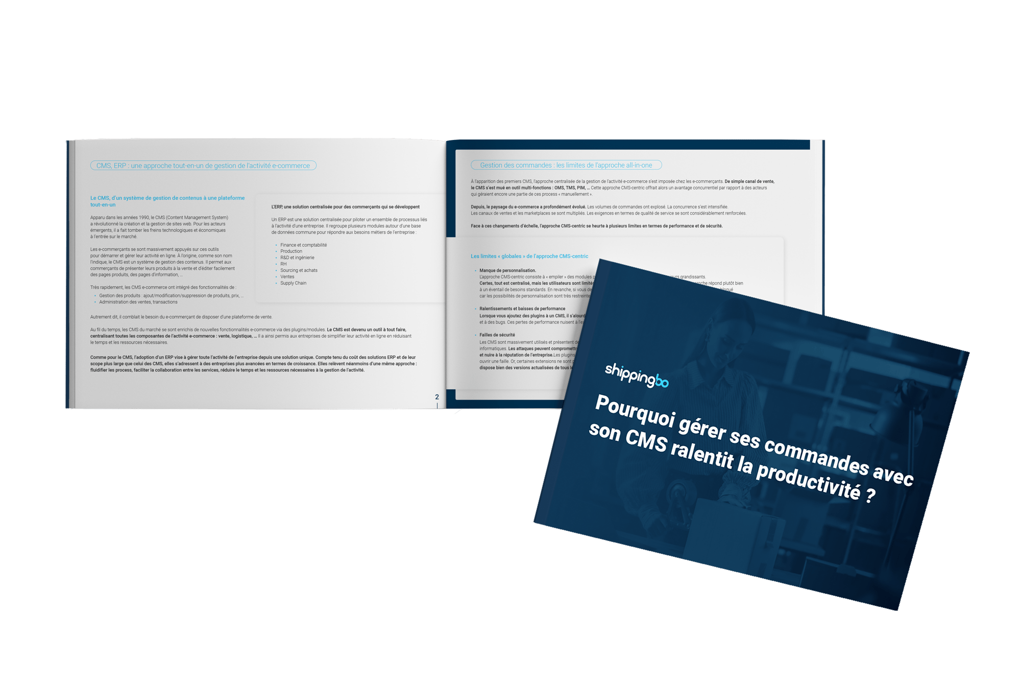 Pourquoi gérer ses commandes avec son CMS ralentit la productivité ?
